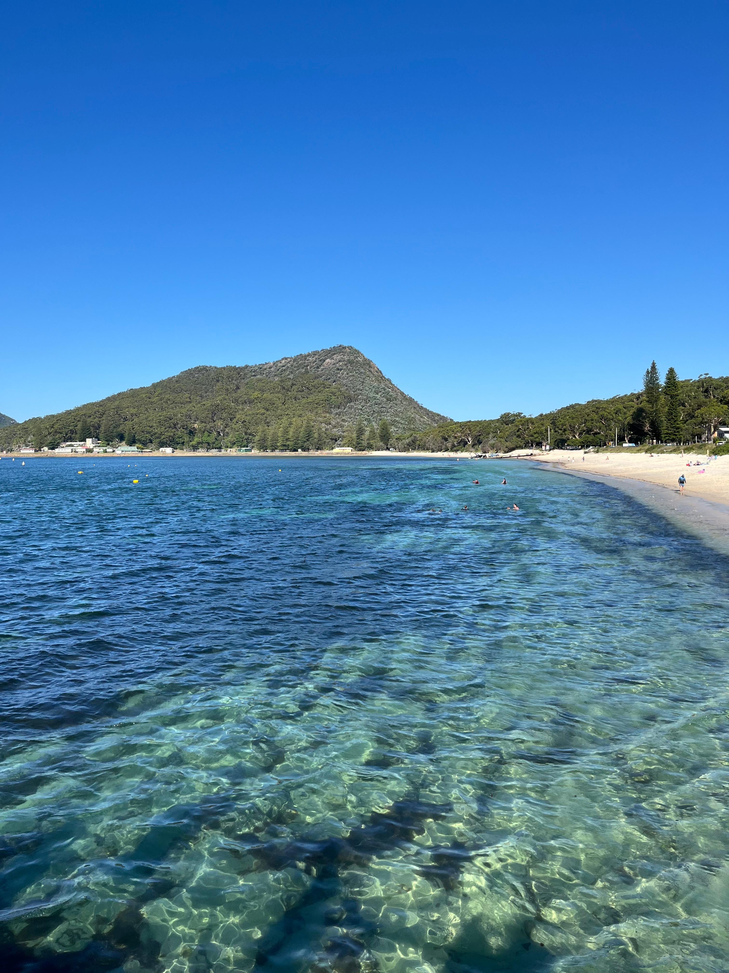Zenith Beach stargazing
